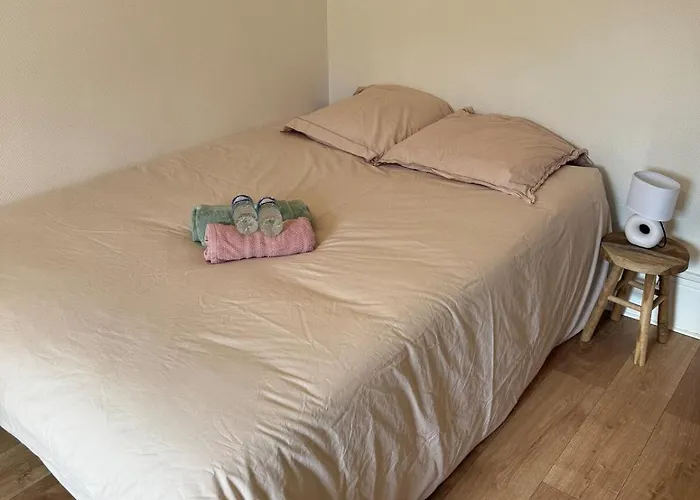 Confort Cite De La Gastronomie * Дижон